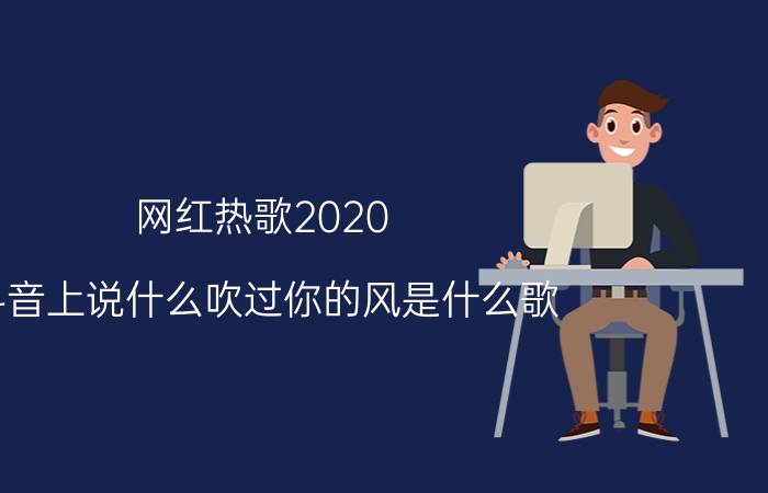 网红热歌2020 抖音上说什么吹过你的风是什么歌？